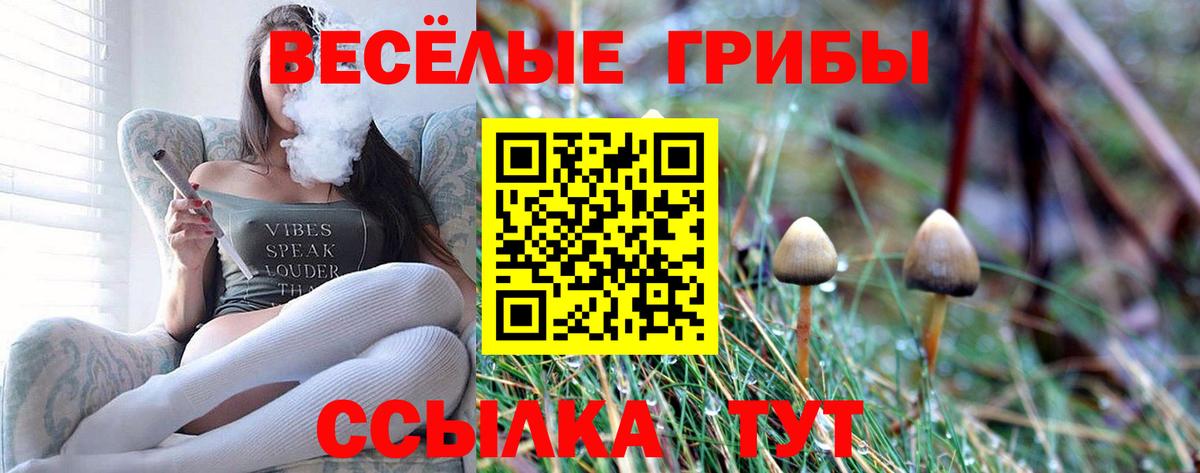 Коломна  Псилоцибиновые грибы Psilocybe  Вход с VPN 